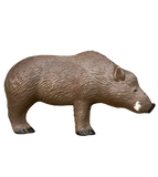 Rinehart - Blemished 3D Targets