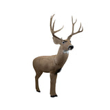 Rinehart - Blemished 3D Targets