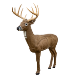 Rinehart - Blemished 3D Targets