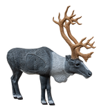 Rinehart - Blemished 3D Targets