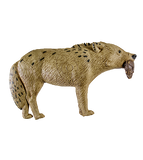 Rinehart - Blemished 3D Targets